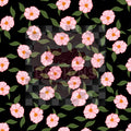 Pink floral with coord polka dots